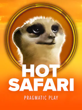 Hot Safari