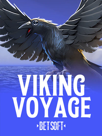 Viking Voyage